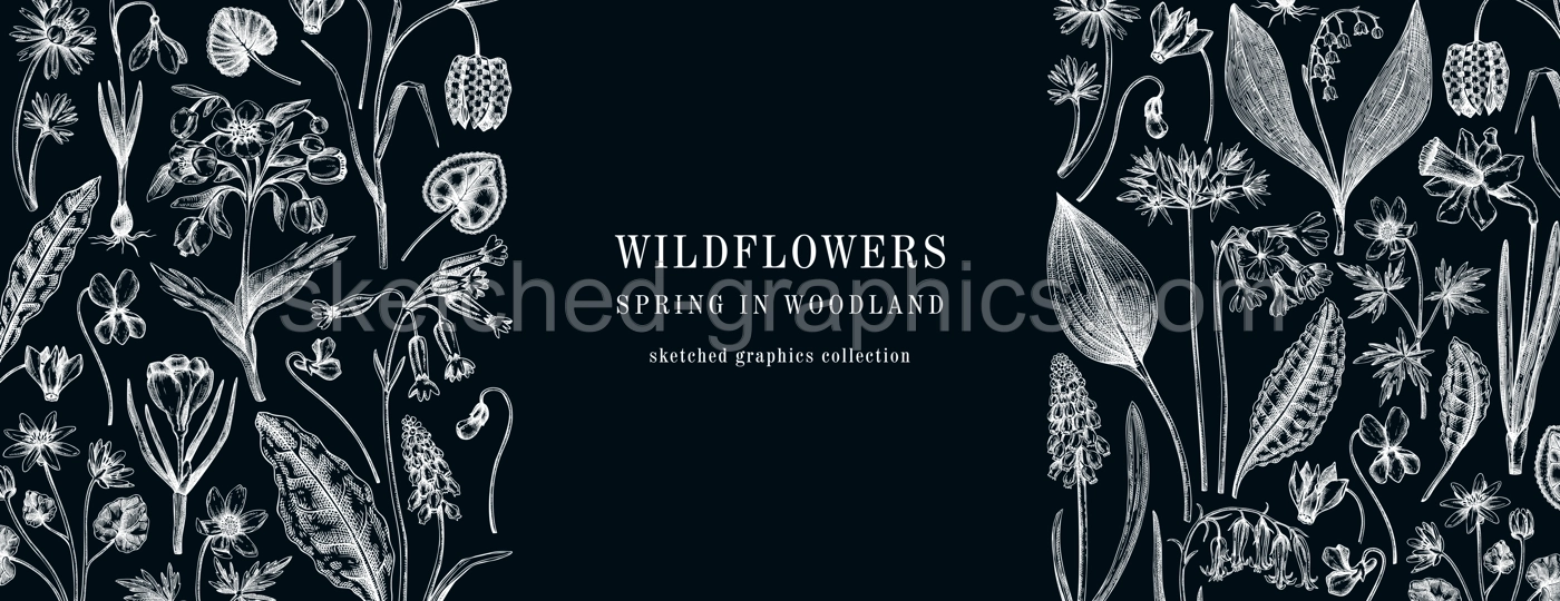 Horizontal vintage banner with wildflowers sketches. Floral design on chalkboard. Delicate contoured blooming flowers and leaves border. Spring woodland or garden botanical vector background Illustration